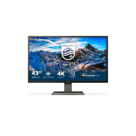 Philips P-line 439P1 - LED monitor - 43" (42.51" viewable) - 3840 x 2160 4K @ 60 Hz - VA - 400 cd / m² - 4000:1 - DisplayHDR 400 - 4 ms - 3xHDMI, DisplayPort, USB-C - speakers - black texture - 0