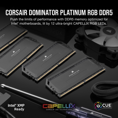CORSAIR Dominator Platinum RGB - DDR5 - kit - 32 GB: 2 x 16 GB - DIMM 288-pin - 6200 MHz  /  PC5-49600 - CL36 - 1.3 V - unbuffered - non-ECC - black - 4