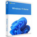 Windows 11 Home - Box pack - 1 licence - flash drive - 32 / 64-bit - English International