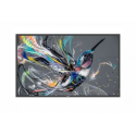 Philips 43BDL3511Q - 43" Diagonal Class (42.5" viewable) - Q-Line LED-backlit LCD display - digital signage - 4K UHD (2160p) 3840 x 2160