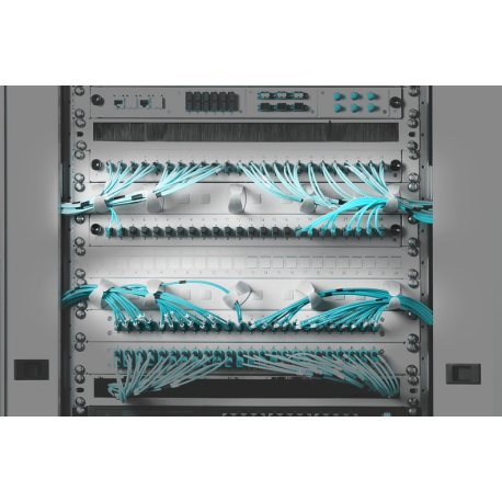DIGITUS Professional Line DN-97601 - Rack cable management panel - RAL 7035 - 1U - 19" - 4