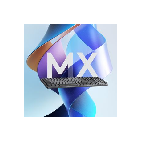 Logitech Master Series MX Mechanical - Keyboard - backlit - wireless - Bluetooth LE - QWERTY - US International - key switch: Tactile Quiet - graphite - 1