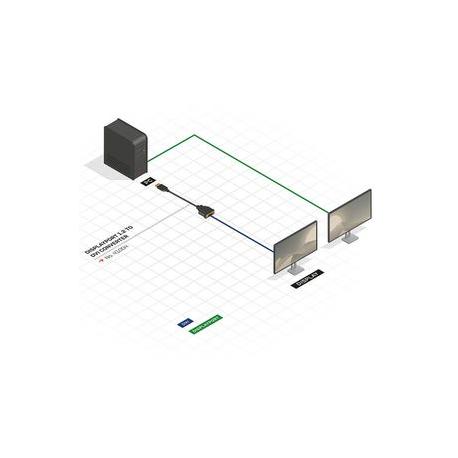 Lindy - DisplayPort adapter - DisplayPort (M) to DVI-D (F) - 15 cm - black - 3