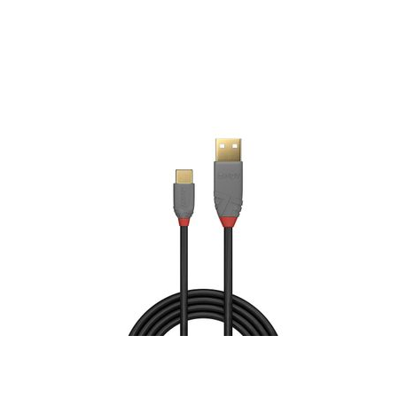 Lindy Anthra Line - USB cable - USB (M) to USB (M) - USB 2.0 - 3 m - 1
