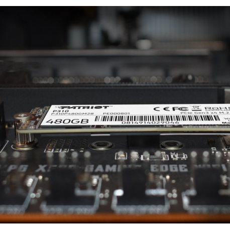Patriot P310 - SSD - 480 GB - internal - M.2 2280 - PCIe 3.0 x4 (NVMe) - 7