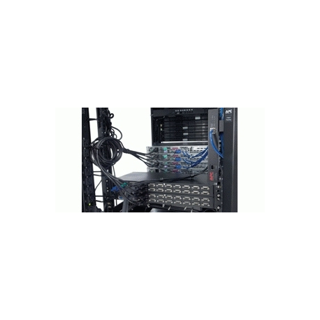 APC KVM Switch - KVM switch - 16 x KVM port(s) - 1 local user - rack-mountable - for P / N: SCL400RMJ1U, SCL500RMI1UC, SCL500RMI1UNC, SMTL1000RMI2UC, SMTL750RMI2UC - 1