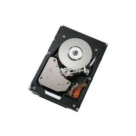 IBM - Hard drive - 900 GB - hot-swap - 2.5" - SAS 6Gb/s - 10000 rpm - for System Storage DS3524, EXP3524 - 0