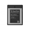 SanDisk - Flash memory card - 256 GB - CFexpress Type B - black