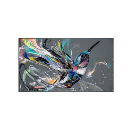 Philips 75BDL3511Q - 75" Diagonal Class (74.5" viewable) - Q-Line LED-backlit LCD display - digital signage - 4K UHD (2160p) 3840 x 2160 - 0