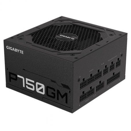 Gigabyte P750GM - Power supply (internal) - ATX12V 2.31 - 80 PLUS Gold - AC 100-240 V - 750 Watt - active PFC - 3