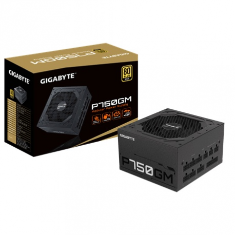 Gigabyte P750GM - Power supply (internal) - ATX12V 2.31 - 80 PLUS Gold - AC 100-240 V - 750 Watt - active PFC - 6