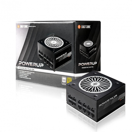 Chieftronic PowerUp Series 650W - Power supply (internal) - ATX12V 2.53 - 80 PLUS Gold - AC 100-240 V - 650 Watt - active PFC - 4