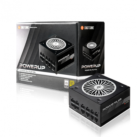 Chieftronic PowerUp Series 650W - Power supply (internal) - ATX12V 2.53 - 80 PLUS Gold - AC 100-240 V - 650 Watt - active PFC - 12