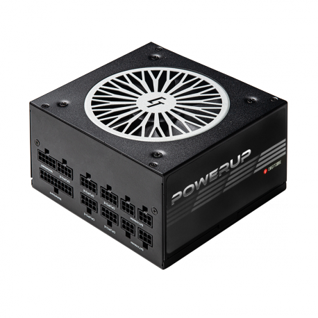 Chieftronic PowerUp Series 650W - Power supply (internal) - ATX12V 2.53 - 80 PLUS Gold - AC 100-240 V - 650 Watt - active PFC - 14