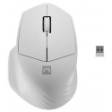 Natec Siskin 2 - Mouse - ergonomic - optical - 3 buttons - wireless - 2.4 GHz, Bluetooth 5.0 - USB wireless receiver - white