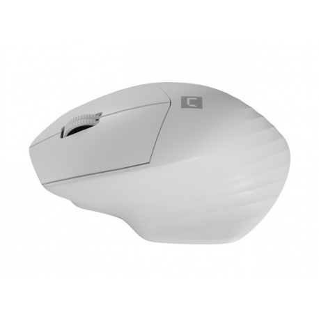 Natec Siskin 2 - Mouse - ergonomic - optical - 3 buttons - wireless - 2.4 GHz, Bluetooth 5.0 - USB wireless receiver - white - 3