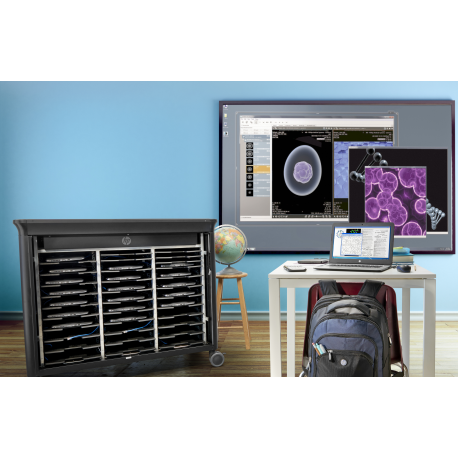 HP Slim - Power adapter - 65 Watt - for EliteBook 830 G6, 8470; ZBook 15u G2, 15u G3, 15u G4, 15u G5, 15u G6; ZBook Firefly 14 G7 - 4