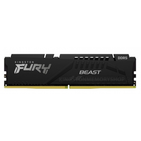 Kingston FURY Beast - DDR5 - module - 16 GB - DIMM 288-pin - 5600 MHz  /  PC5-44800 - CL36 - 1.25 V - unbuffered - on-die ECC - black - 0