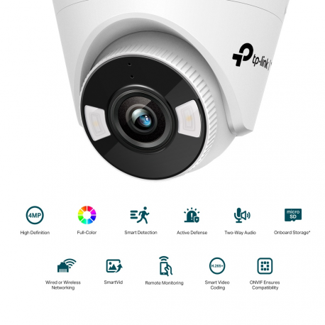 TP-Link VIGI C440 V1 - Network surveillance camera - pan  /  tilt - turret - colour (Day&Night) - 2560 x 1440 - M12 mount - fixed focal - audio - LAN 10 / 100 - H.264, H.265, H.265+, H.264+ - DC 12 V - 2