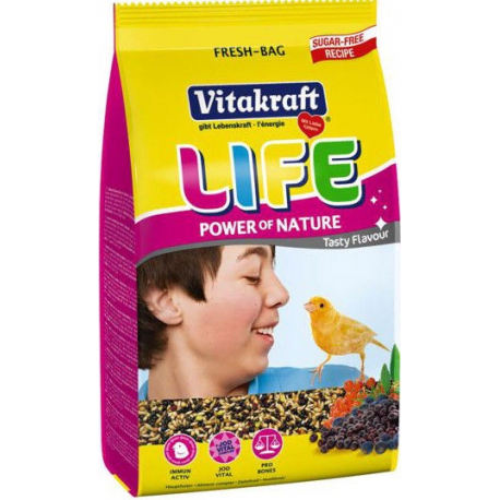 TERRATEC P80 Slim - Power bank - 8000 mAh - 2.4 A - 2 output connectors (USB) - 0