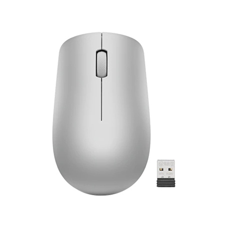 Lenovo 530 Wireless Mouse - Mouse - right and left-handed - optical - 3 buttons - wireless - 2.4 GHz - USB wireless receiver - platinum grey - for IdeaPad S340-14; ThinkCentre M90a Gen 3; M90a Pro Gen 3; M90q Gen 2; M90t Gen 3 - 0