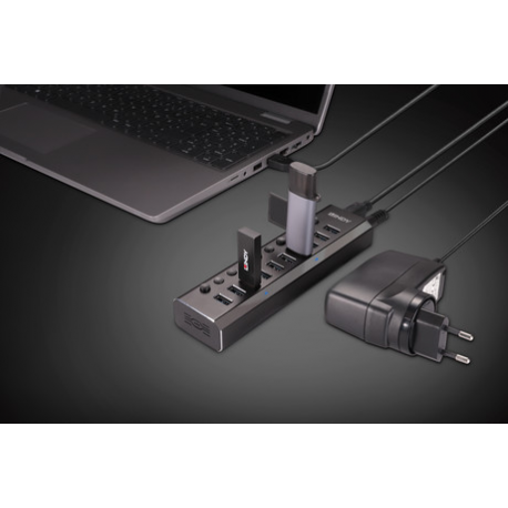Lindy - Hub - with on / off switches - 10 x SuperSpeed USB 3.0 - desktop - 3
