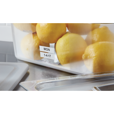 DYMO LabelMANAGER 210D - Labelmaker - B / W - thermal transfer - Roll (1.2 cm) - 180 dpi - cutter - 1 line printing, 2 line printing - black, silver - 14