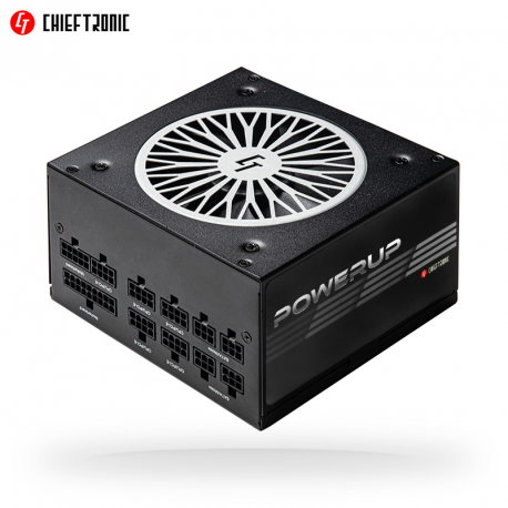 Chieftronic PowerUp Series 650W - Power supply (internal) - ATX12V 2.53 - 80 PLUS Gold - AC 100-240 V - 650 Watt - active PFC - 15