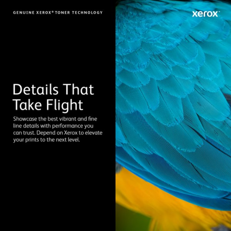 Xerox - Cyan - original - box - toner cartridge - for VersaLink C625 - 5