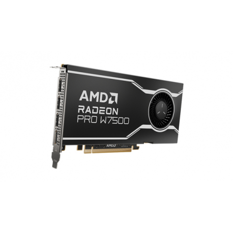 AMD Radeon Pro W7500 - Graphics card - Radeon Pro W7500 - 8 GB GDDR6 - PCIe 4.0 x8 - 4 x DisplayPort - 0
