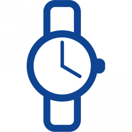 electronic V 12 GA - 2