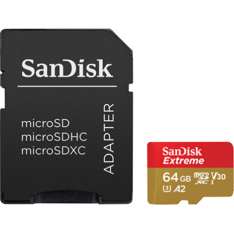SanDisk GamePlay - Flash memory card - 256 GB - A2 - microSDXC UHS-I - 1