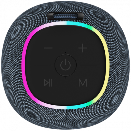 Canyon BSP-8 - Speaker - for portable use - wireless - Bluetooth - USB - 10 Watt - graphite - 6