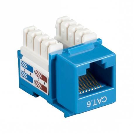Black Box Value Line CAT6 - Modular insert - CAT 6 - RJ-45 - blue (pack of 25) - 0