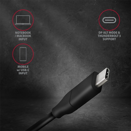 Active USB-C -> DisplayPort cable - adapter AXAGON RVC-DPC for connecting a - 12