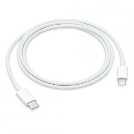 Apple USB-C to Lightning Cable - Lightning cable - 24 pin USB-C male to Lightning male - 1 m - 0