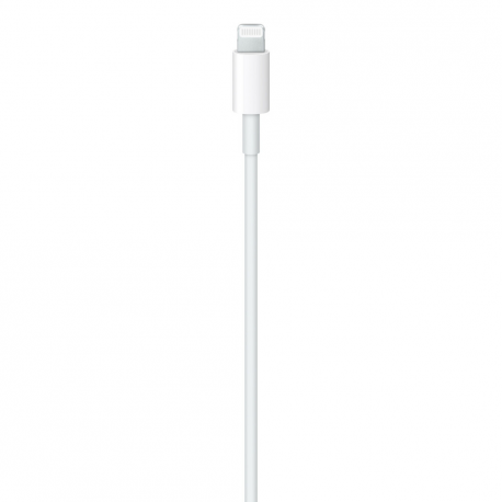 Apple USB-C to Lightning Cable - Lightning cable - 24 pin USB-C male to Lightning male - 1 m - 2