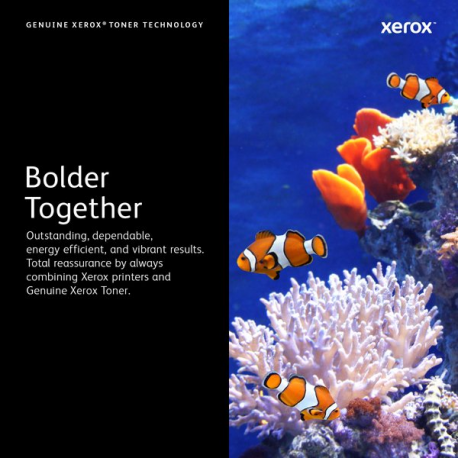 Xerox B215 - High capacity - black - original - toner cartridge - for Xerox B205V/NI, B210/DNI, B210V/DNI, B215V/DNI - 7