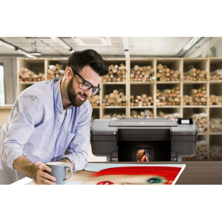 HP DesignJet Z9+dr PostScript - 44" large-format printer - colour - ink-jet - Roll (111.8 cm) - 2400 x 1200 dpi - up to 73.9 sq.m / hour (mono)  /  up to 73.9 sq.m / hour (colour) - capacity: 2 rolls - Gigabit LAN, USB host - cutter - 28