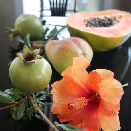 Intellinet Network Patch Cable, Cat6, 1.5m, Red, Copper, S / FTP, LSOH  /  LSZH, PVC, RJ45, Gold Plated Contacts, Snagless, Booted, Lifetime Warranty, Polybag - Patch cable - RJ-45 (M) to RJ-45 (M) - 1.5 m - SFTP - CAT 6 - booted, snagless - red - 1