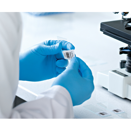 DYMO LabelWriter Medium - Black on white - 57 x 32 mm 6000 label(s) (6 roll(s) x 1000) multi-purpose labels - for DYMO LabelWriter 310, 315, 320, 330, 400, 450, 4XL, SE450, Wireless - 1