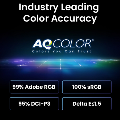 BenQ SW242Q - LED monitor - 24.1" - 2560 x 1600 2K @ 60 Hz - IPS - 400 cd/m² - 1000:1 - 5 ms - HDMI, DisplayPort, USB-C - 4