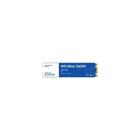 WD Blue SA510 WDS250G3B0B-00AXS0 - SSD - 250 GB - internal - M.2 2280 - SATA 6Gb/s - blue - 0
