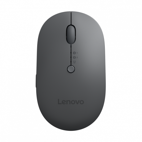 Lenovo Multi-Device - X9 Edition - mouse - right and left-handed - optical - 4 buttons - wireless - 2.4 GHz, Bluetooth 5.0 - USB-C wireless receiver - thunder gray (top), thunder black (bottom) - brown box - 0