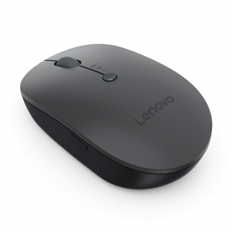 Lenovo Multi-Device - X9 Edition - mouse - right and left-handed - optical - 4 buttons - wireless - 2.4 GHz, Bluetooth 5.0 - USB-C wireless receiver - thunder gray (top), thunder black (bottom) - brown box - 2
