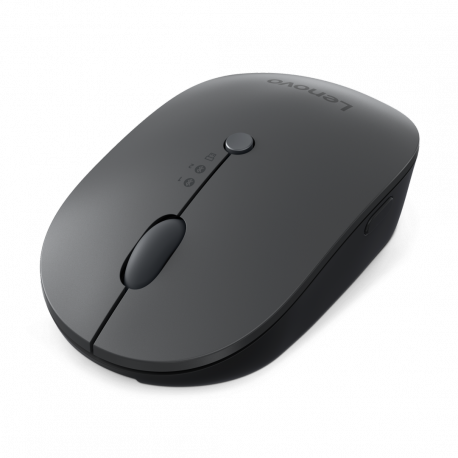 Lenovo Multi-Device - X9 Edition - mouse - right and left-handed - optical - 4 buttons - wireless - 2.4 GHz, Bluetooth 5.0 - USB-C wireless receiver - thunder gray (top), thunder black (bottom) - brown box - 5