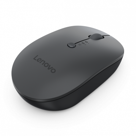 Lenovo Multi-Device - X9 Edition - mouse - right and left-handed - optical - 4 buttons - wireless - 2.4 GHz, Bluetooth 5.0 - USB-C wireless receiver - thunder gray (top), thunder black (bottom) - brown box - 7