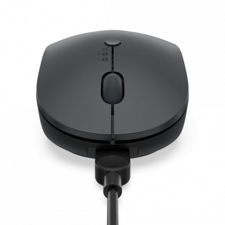 Lenovo Multi-Device - X9 Edition - mouse - right and left-handed - optical - 4 buttons - wireless - 2.4 GHz, Bluetooth 5.0 - USB-C wireless receiver - thunder gray (top), thunder black (bottom) - brown box - 10