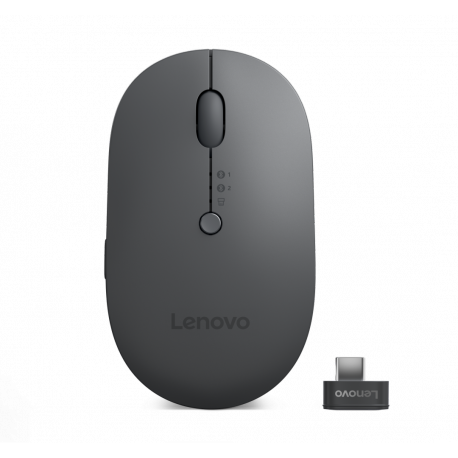 Lenovo Multi-Device - X9 Edition - mouse - right and left-handed - optical - 4 buttons - wireless - 2.4 GHz, Bluetooth 5.0 - USB-C wireless receiver - thunder gray (top), thunder black (bottom) - brown box - 11