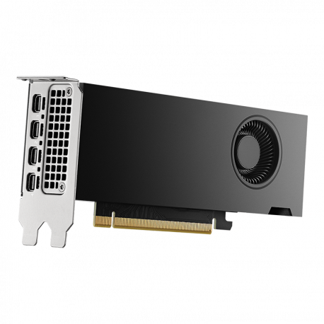 NVIDIA RTX 2000 Ada Generation - Graphics card - NVIDIA RTX 2000 Ada - 16 GB GDDR6 - PCIe 4.0 x8 - 4 x Mini DisplayPort - 0